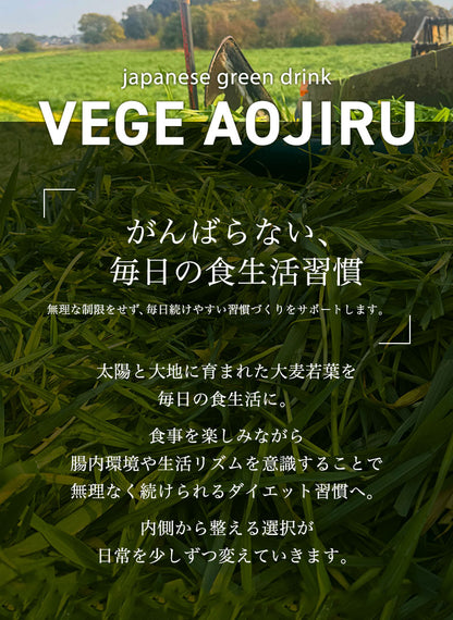 VEGE AOJIRU ベジ青汁 90g(3g×30)