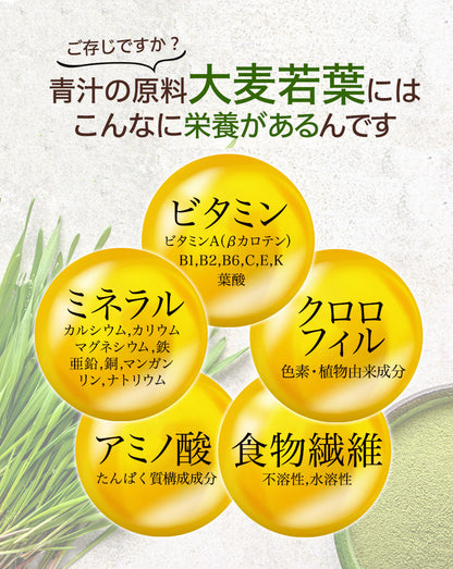 VEGE AOJIRU ベジ青汁 90g(3g×30)